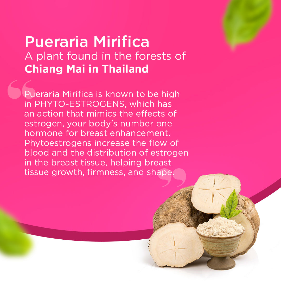 Pueraria Mirifica Capsules A Plant found in the forests of chiang mai in thailand