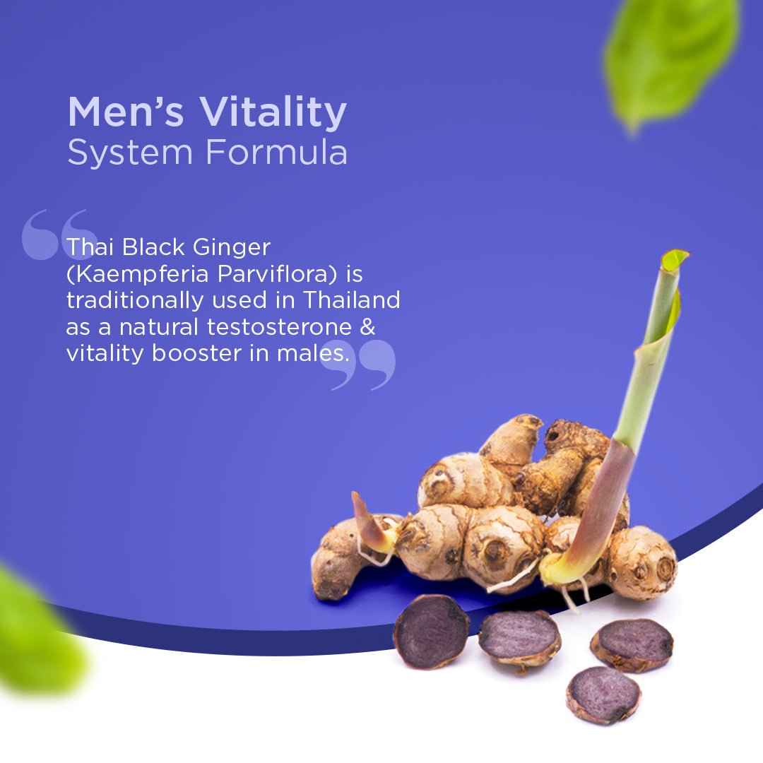 Organic Black Ginger Capsules, 100% Natural Testosterone Booster - 60 Veg Capsules - Vitabowl