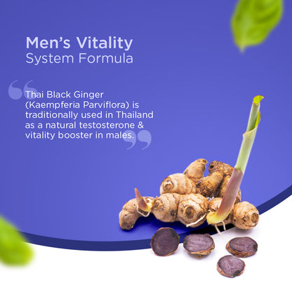 Men's Vitality System Formula, Thai Black Ginger is traditionally used in Thailand as a natural testosterone & vitality booster.